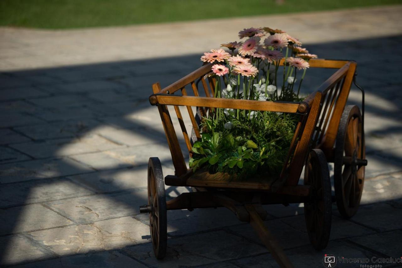 Bed and Breakfast La Dimora Dei Conti Collemeto Екстер'єр фото